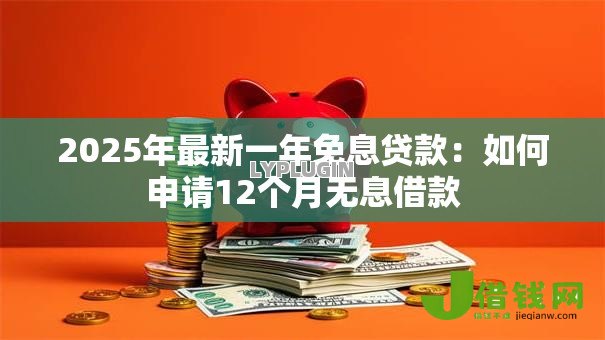 2025年最新一年免息贷款：如何申请12个月无息借款