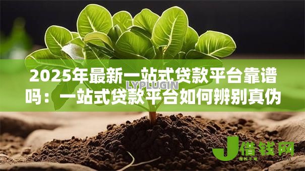 2025年最新一站式贷款平台靠谱吗:一站式贷款平台如何辨别真伪 2025年最新一站式贷款平台靠谱吗:一站式贷款平台如何辨别真伪