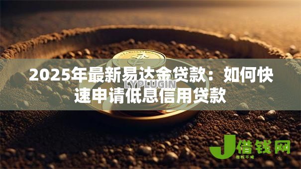 2025年最新易达金贷款：如何快速申请低息信用贷款