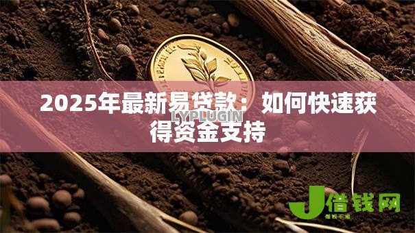 2025年最新易贷款：如何快速获得资金支持