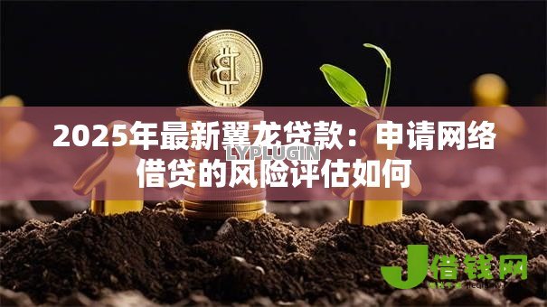 2025年最新翼龙贷款：申请网络借贷的风险评估如何