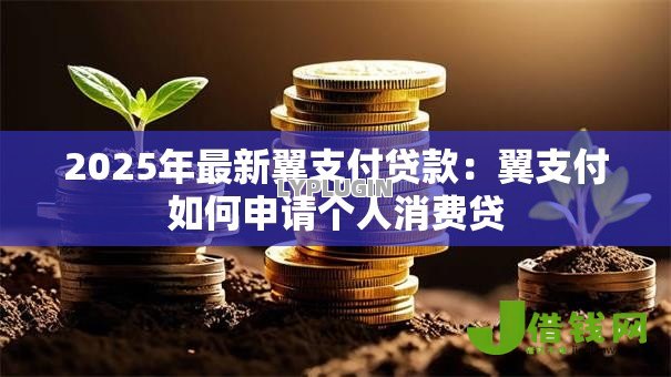 2025年最新翼支付贷款：翼支付如何申请个人消费贷