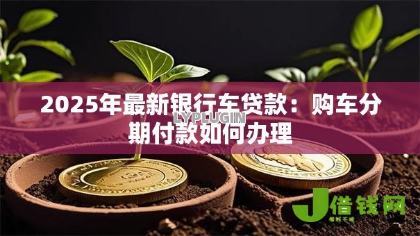 2025年最新银行车贷款：购车分期付款如何办理