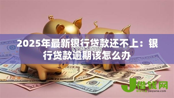 2025年最新银行贷款还不上:银行贷款逾期该怎么办 2025年最新银行贷款还不上:银行贷款逾期该怎么办