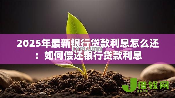 2025年最新银行贷款利息怎么还：如何偿还银行贷款利息