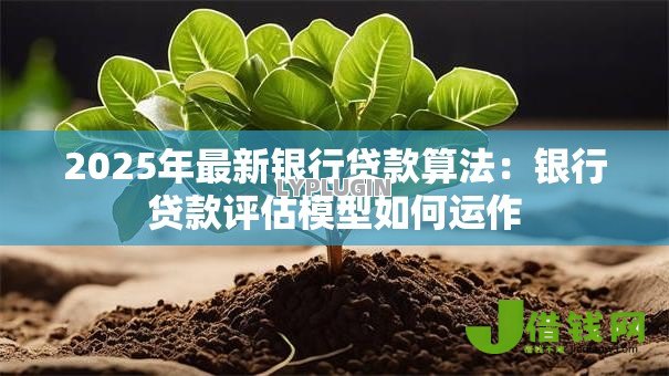 2025年最新银行贷款算法:银行贷款评估模型如何运作 2025年最新银行贷款算法:银行贷款评估模型如何运作