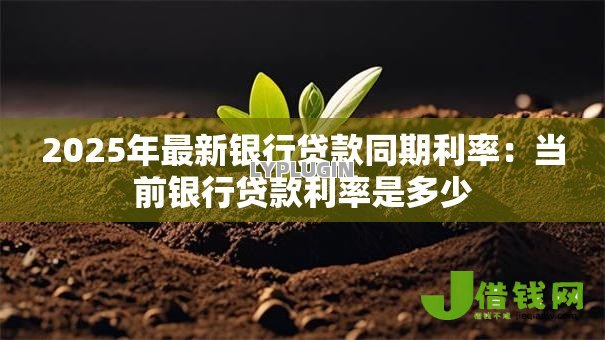 2025年最新银行贷款同期利率：当前银行贷款利率是多少