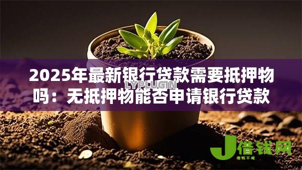 2025年最新银行贷款需要抵押物吗：无抵押物能否申请银行贷款