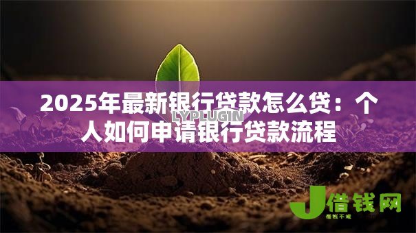 2025年最新银行贷款怎么贷：个人如何申请银行贷款流程