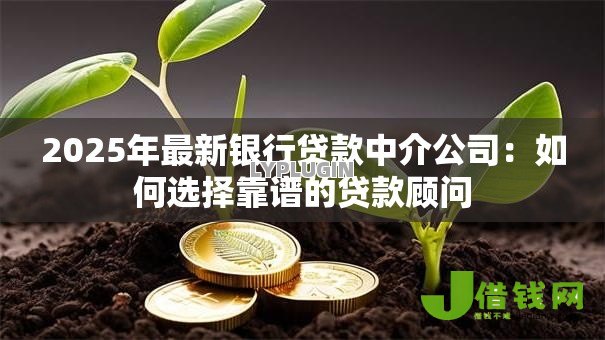 2025年最新银行贷款中介公司：如何选择靠谱的贷款顾问