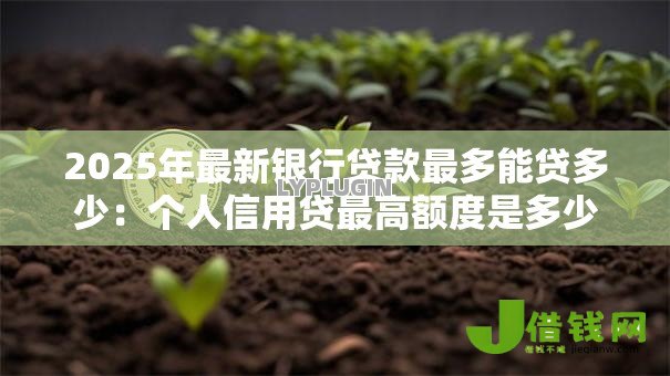 2025年最新银行贷款最多能贷多少：个人信用贷最高额度是多少？