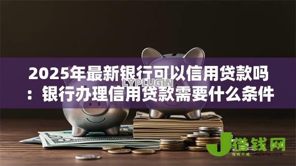 2025年最新银行可以信用贷款吗：银行办理信用贷款需要什么条件