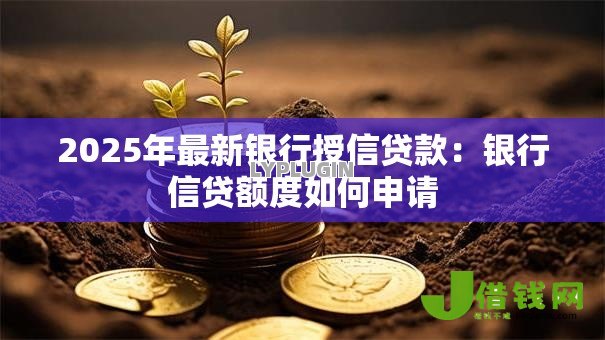 2025年最新银行授信贷款：银行信贷额度如何申请