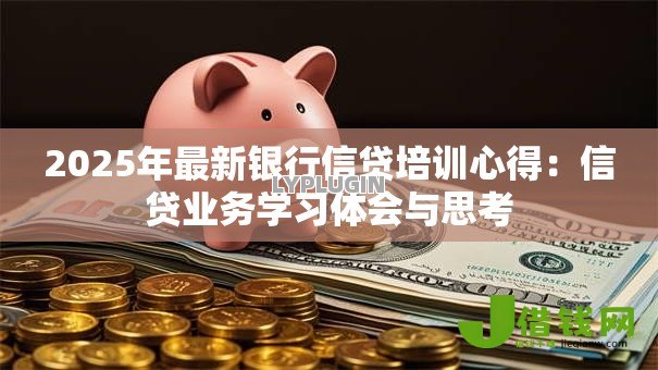 2025年最新银行信贷培训心得：信贷业务学习体会与思考