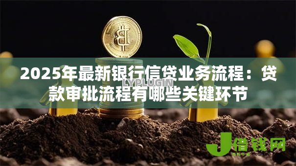 2025年最新银行信贷业务流程：贷款审批流程有哪些关键环节