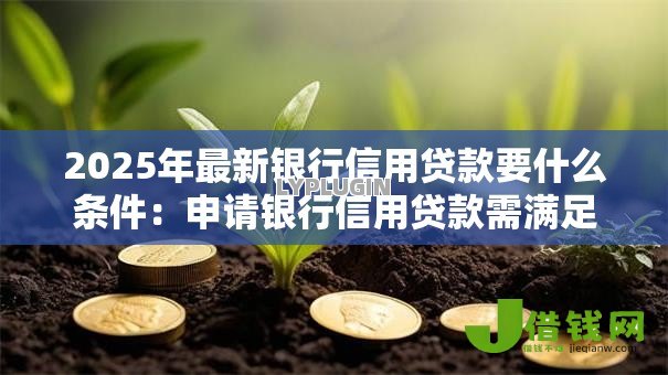 2025年最新银行信用贷款要什么条件：申请银行信用贷款需满足哪些条件