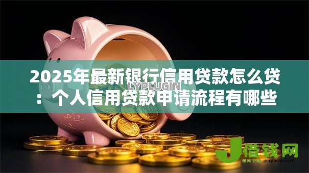 2025年最新银行信用贷款怎么贷：个人信用贷款申请流程有哪些