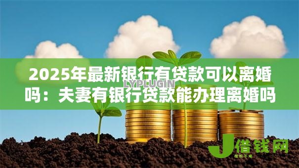 2025年最新银行有贷款可以离婚吗：夫妻有银行贷款能办理离婚吗