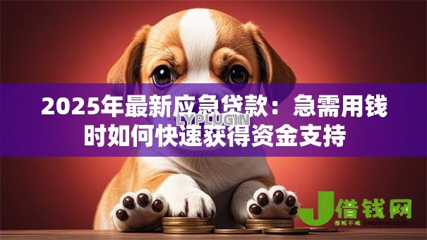 2025年最新应急贷款：急需用钱时如何快速获得资金支持