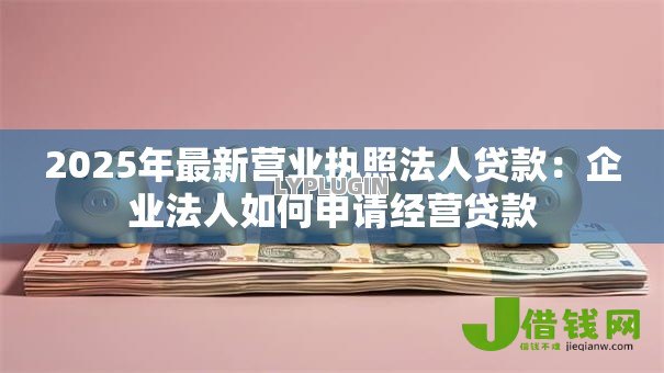 2025年最新营业执照法人贷款：企业法人如何申请经营贷款