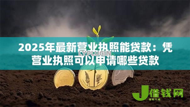 2025年最新营业执照能贷款：凭营业执照可以申请哪些贷款