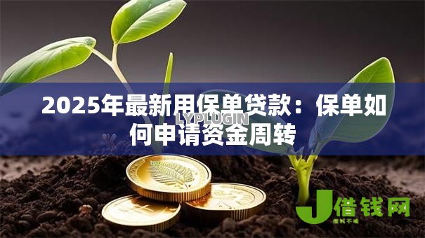 2025年最新用保单贷款：保单如何申请资金周转