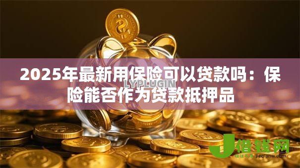 2025年最新用保险可以贷款吗：保险能否作为贷款抵押品