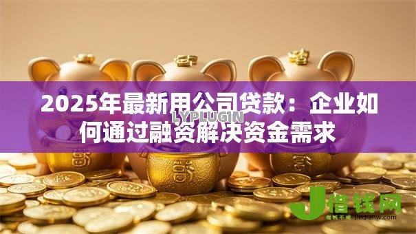 2025年最新用公司贷款：企业如何通过融资解决资金需求