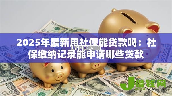 2025年最新用社保能贷款吗：社保缴纳记录能申请哪些贷款