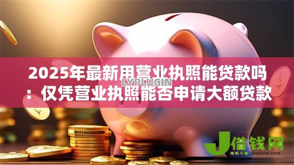 2025年最新用营业执照能贷款吗：仅凭营业执照能否申请大额贷款