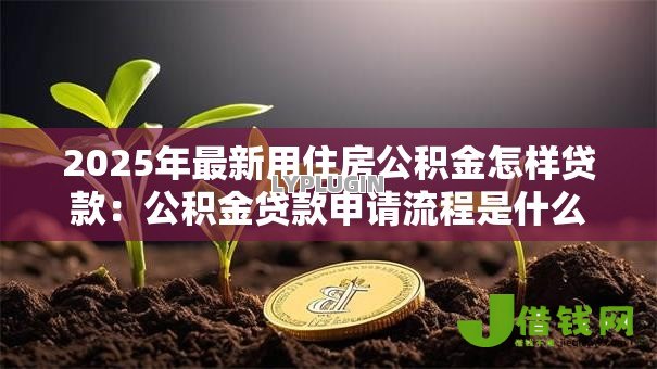 2025年最新用住房公积金怎样贷款：公积金贷款申请流程是什么