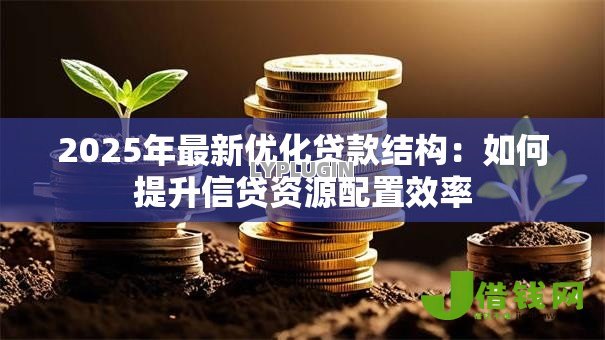 2025年最新优化贷款结构：如何提升信贷资源配置效率