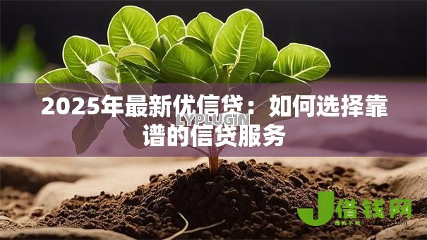 2025年最新优信贷:如何选择靠谱的信贷服务 2025年最新优信贷:如何选择靠谱的信贷服务