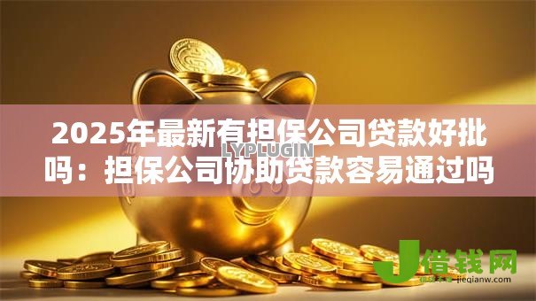 2025年最新有担保公司贷款好批吗：担保公司协助贷款容易通过吗