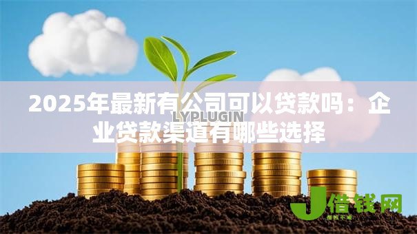 2025年最新有公司可以贷款吗：企业贷款渠道有哪些选择