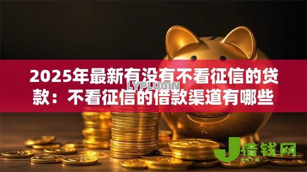 2025年最新有没有不看征信的贷款：不看征信的借款渠道有哪些