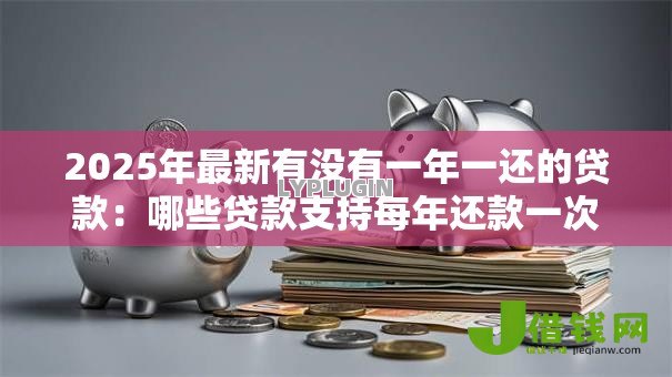 2025年最新有没有一年一还的贷款：哪些贷款支持每年还款一次