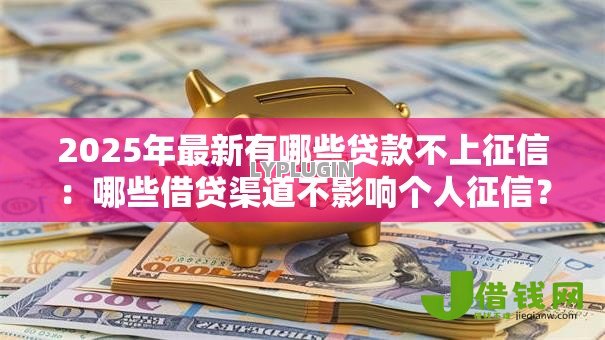 2025年最新有哪些贷款不上征信：哪些借贷渠道不影响个人征信？