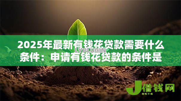 2025年最新有钱花贷款需要什么条件：申请有钱花贷款的条件是什么