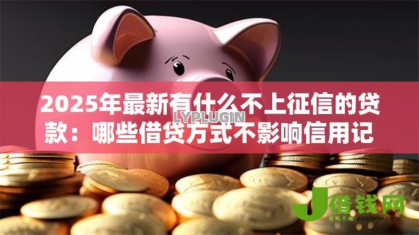 2025年最新有什么不上征信的贷款：哪些借贷方式不影响信用记录