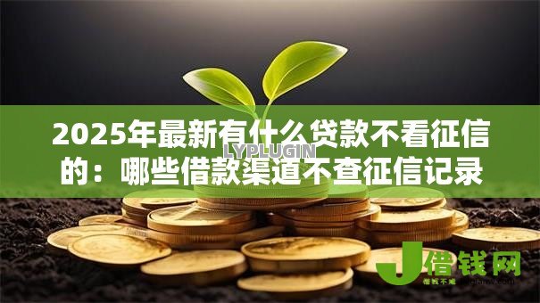 2025年最新有什么贷款不看征信的:哪些借款渠道不查征信记录 2025年最新有什么贷款不看征信的:哪些借款渠道不查征信记录