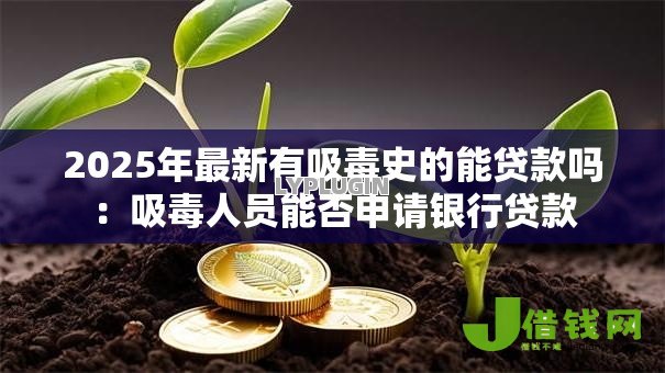 2025年最新有吸毒史的能贷款吗：吸毒人员能否申请银行贷款