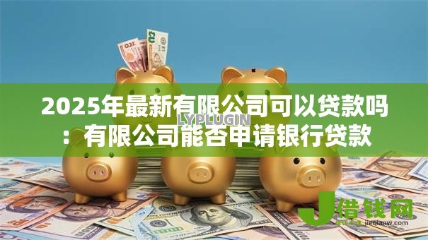 2025年最新有限公司可以贷款吗：有限公司能否申请银行贷款