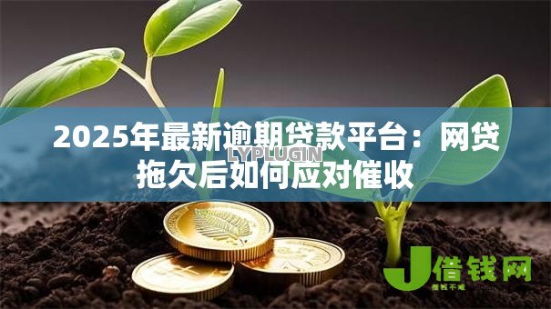2025年最新逾期贷款平台:网贷拖欠后如何应对催收 2025年最新逾期贷款平台:网贷拖欠后如何应对催收