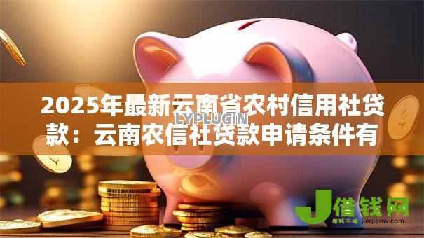 2025年最新云南省农村信用社贷款:云南农信社贷款申请条件有哪些 2025年最新云南省农村信用社贷款:云南农信社贷款申请条件有哪些