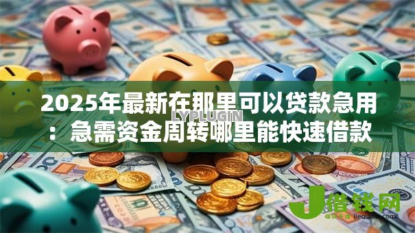 2025年最新在那里可以贷款急用：急需资金周转哪里能快速借款