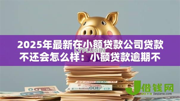 2025年最新在小额贷款公司贷款不还会怎么样：小额贷款逾期不还后果严重吗