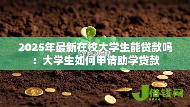 2025年最新在校大学生能贷款吗：大学生如何申请助学贷款