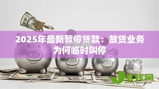2025年最新暂停贷款：放贷业务为何临时叫停