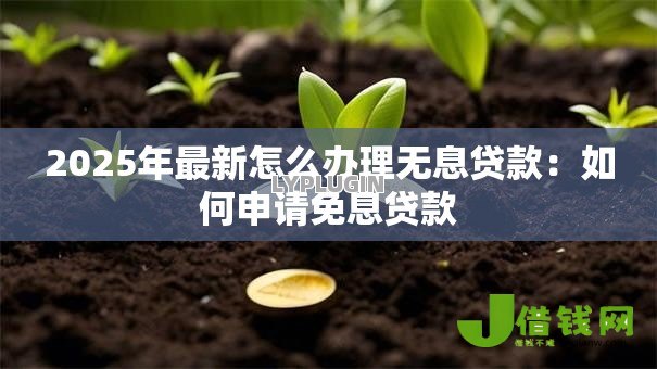 2025年最新怎么办理无息贷款：如何申请免息贷款